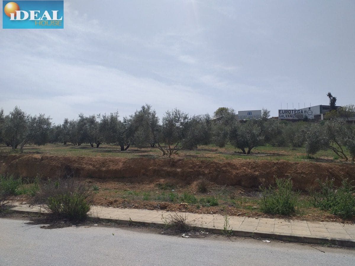 Mark till salu i Lachar - 68 760 € (Ref: 9434544)