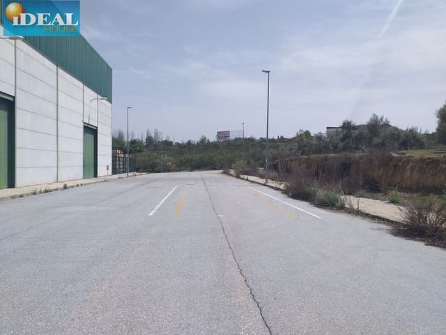 Mark till salu i Láchar - 68 760 € (Ref: 9434544)