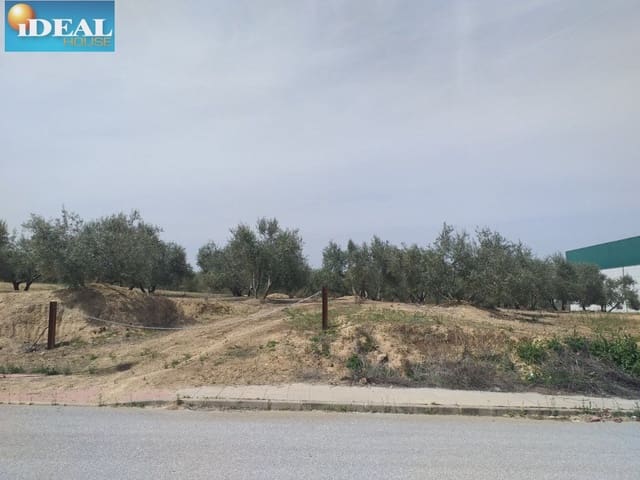 Mark till salu i Láchar - 68 760 € (Ref: 9434544)