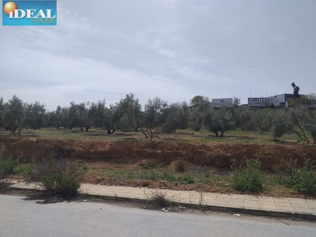 Mark till salu i Láchar - 68 760 € (Ref: 9434544)