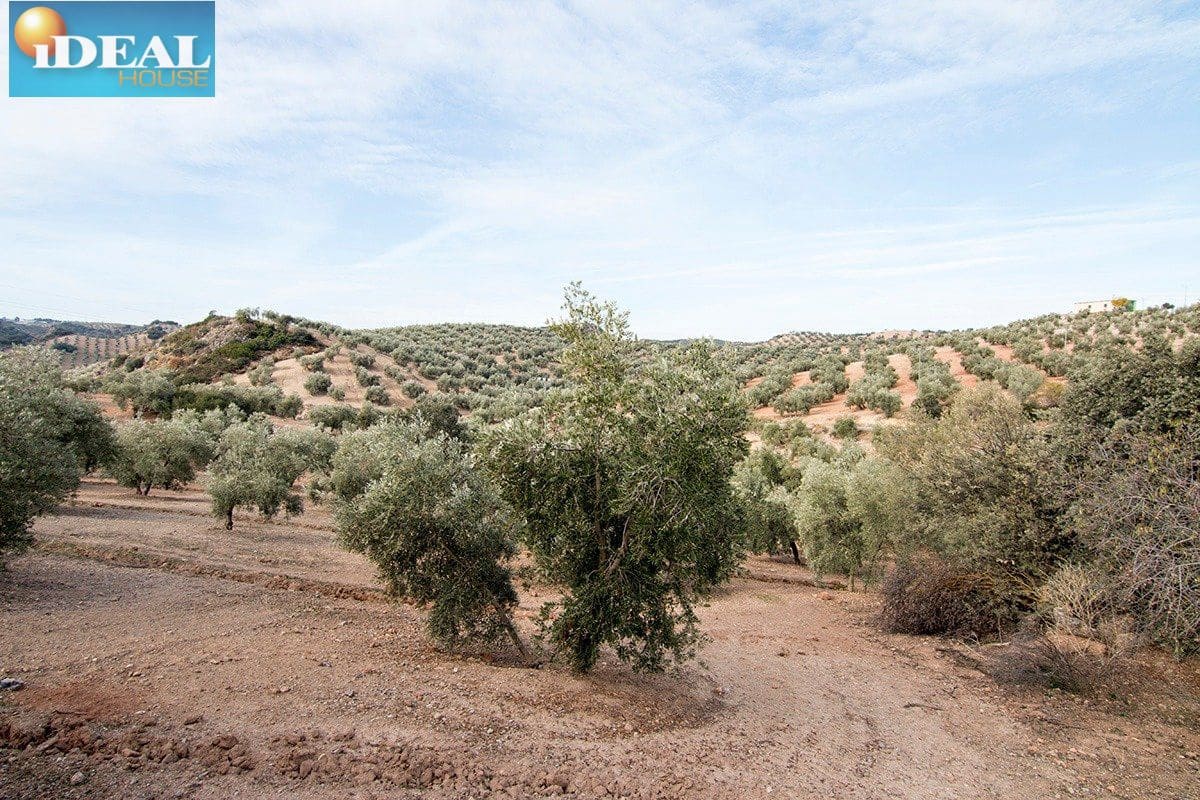 Finca/Country House for sale in Loja - € 2,100,000 (Ref: 9434545)