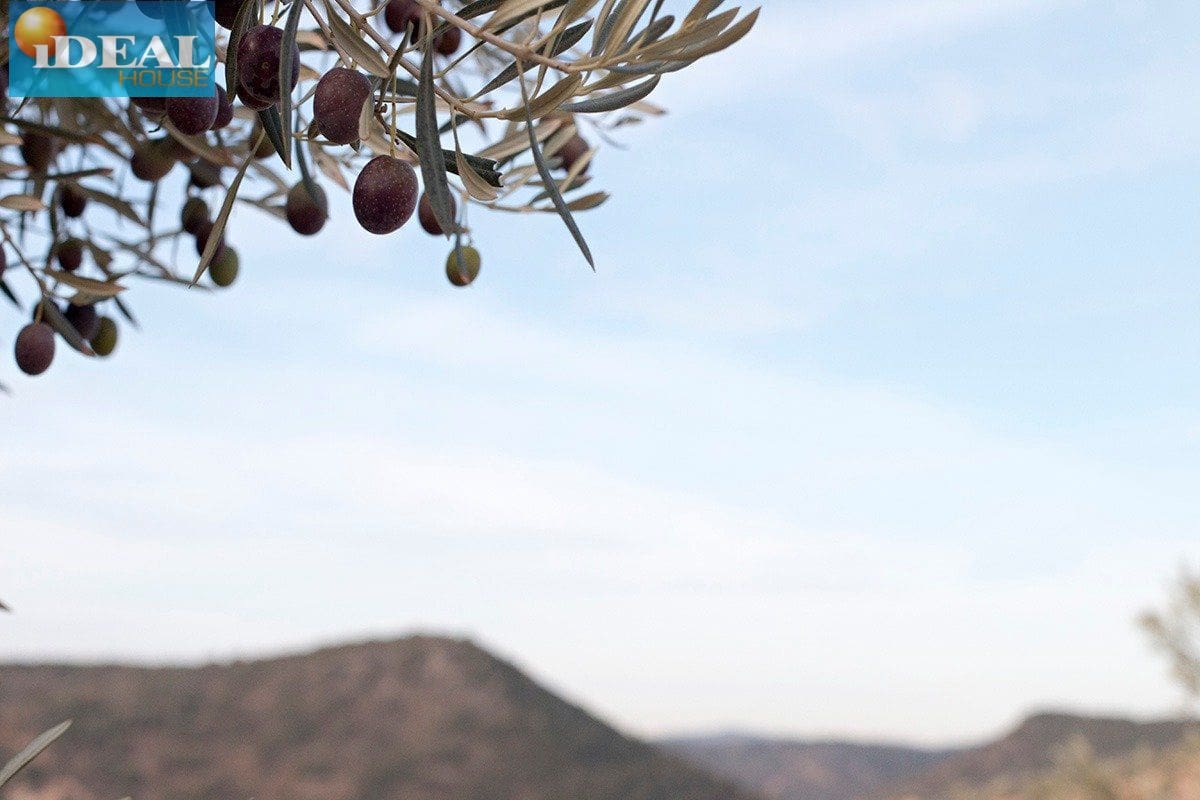 Finca/Country House for sale in Loja - € 2,100,000 (Ref: 9434545)