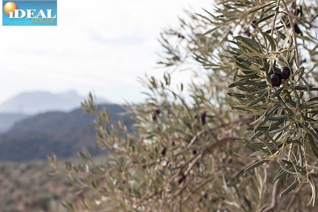 Finca/Herregård til salgs i Loja - € 2 100 000 (Ref: 9434545)