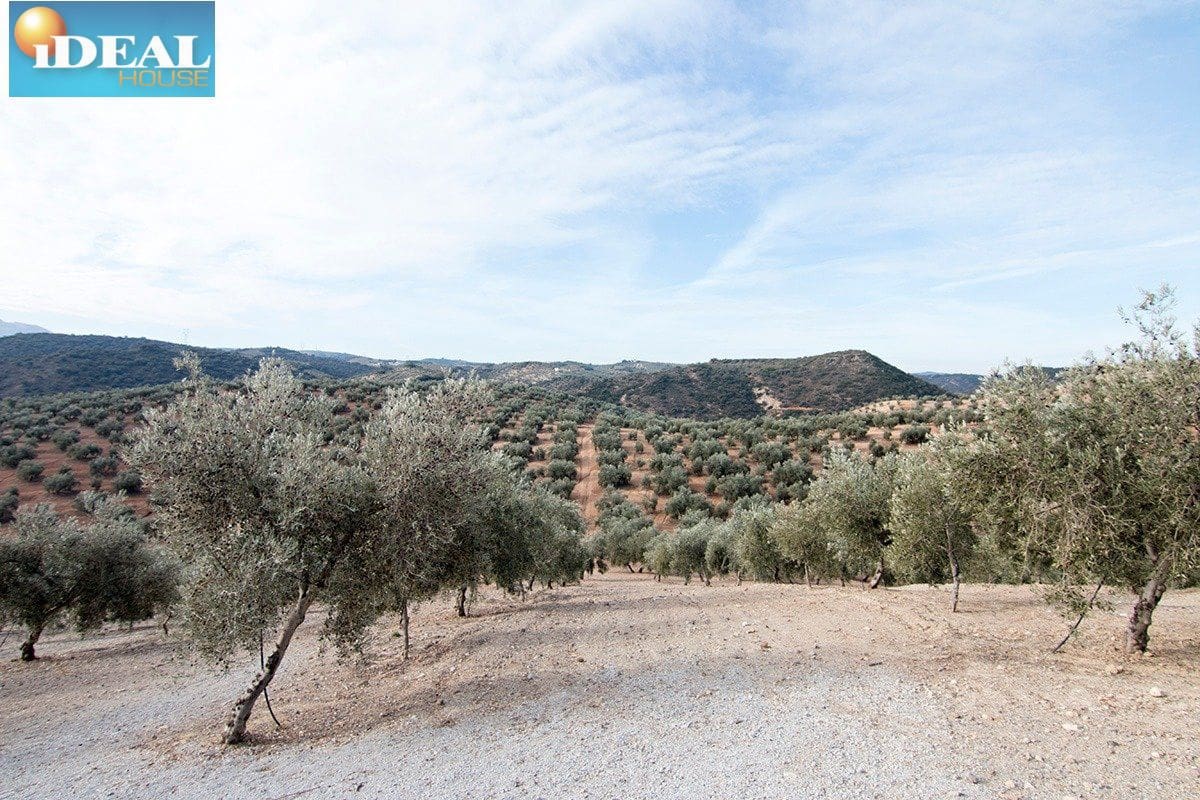 Finca/Country House for sale in Loja - € 2,100,000 (Ref: 9434545)