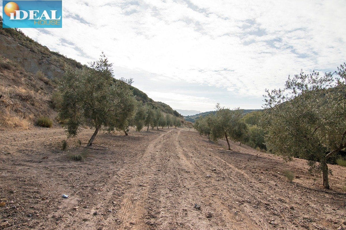 Finca/Country House for sale in Loja - € 2,100,000 (Ref: 9434545)