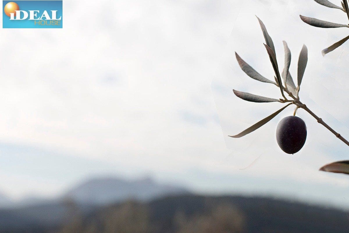 Finca/Country House for sale in Loja - € 2,100,000 (Ref: 9434545)