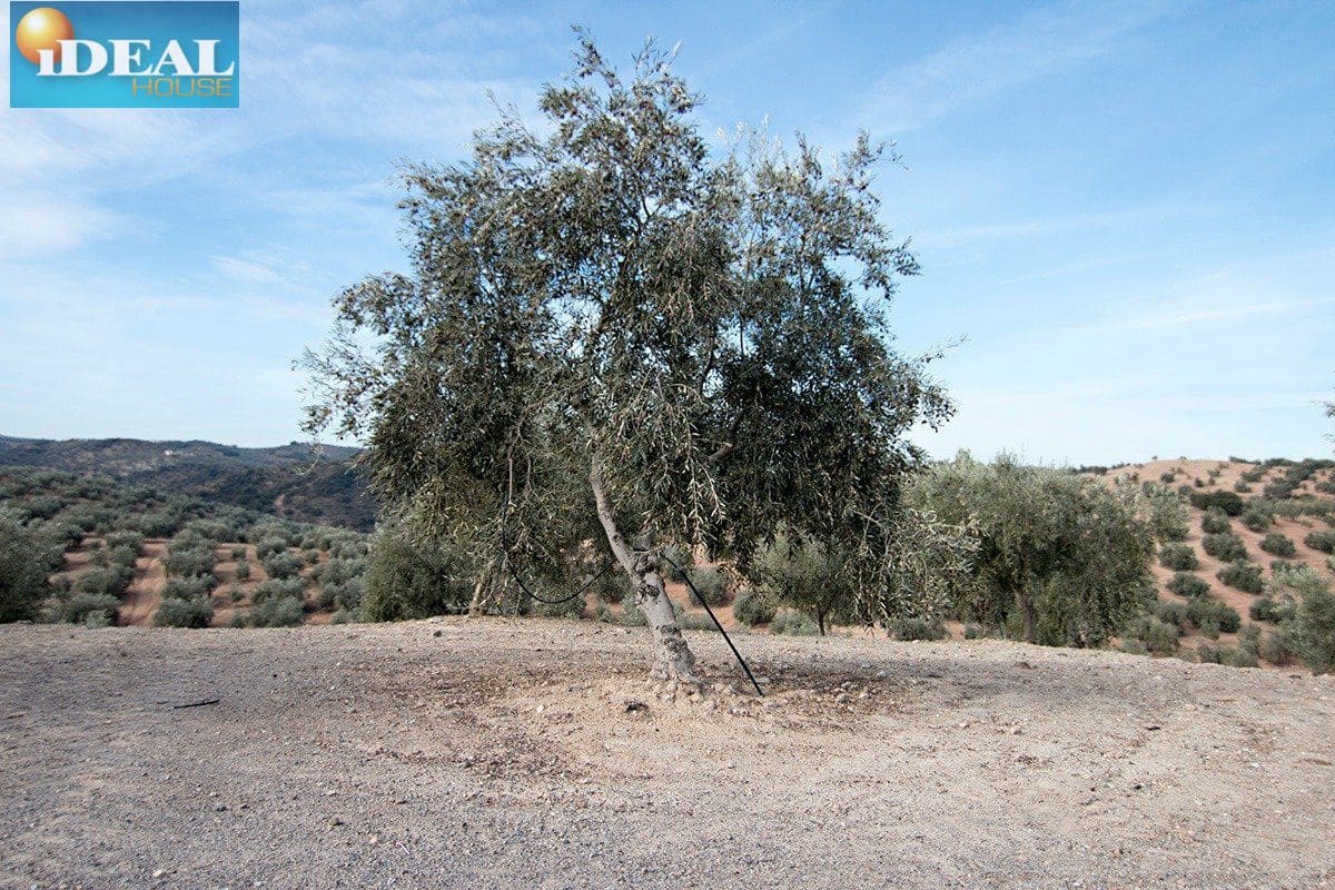 Finca/Country House for sale in Loja - € 2,100,000 (Ref: 9434545)