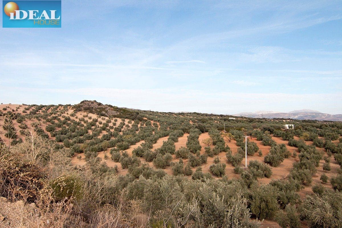 Finca/Country House for sale in Loja - € 2,100,000 (Ref: 9434545)