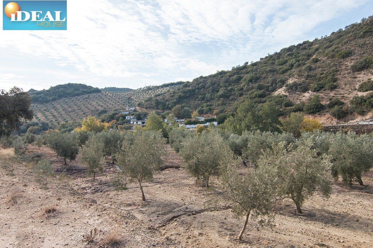 Finca/Country House for sale in Loja - € 2,100,000 (Ref: 9434545)