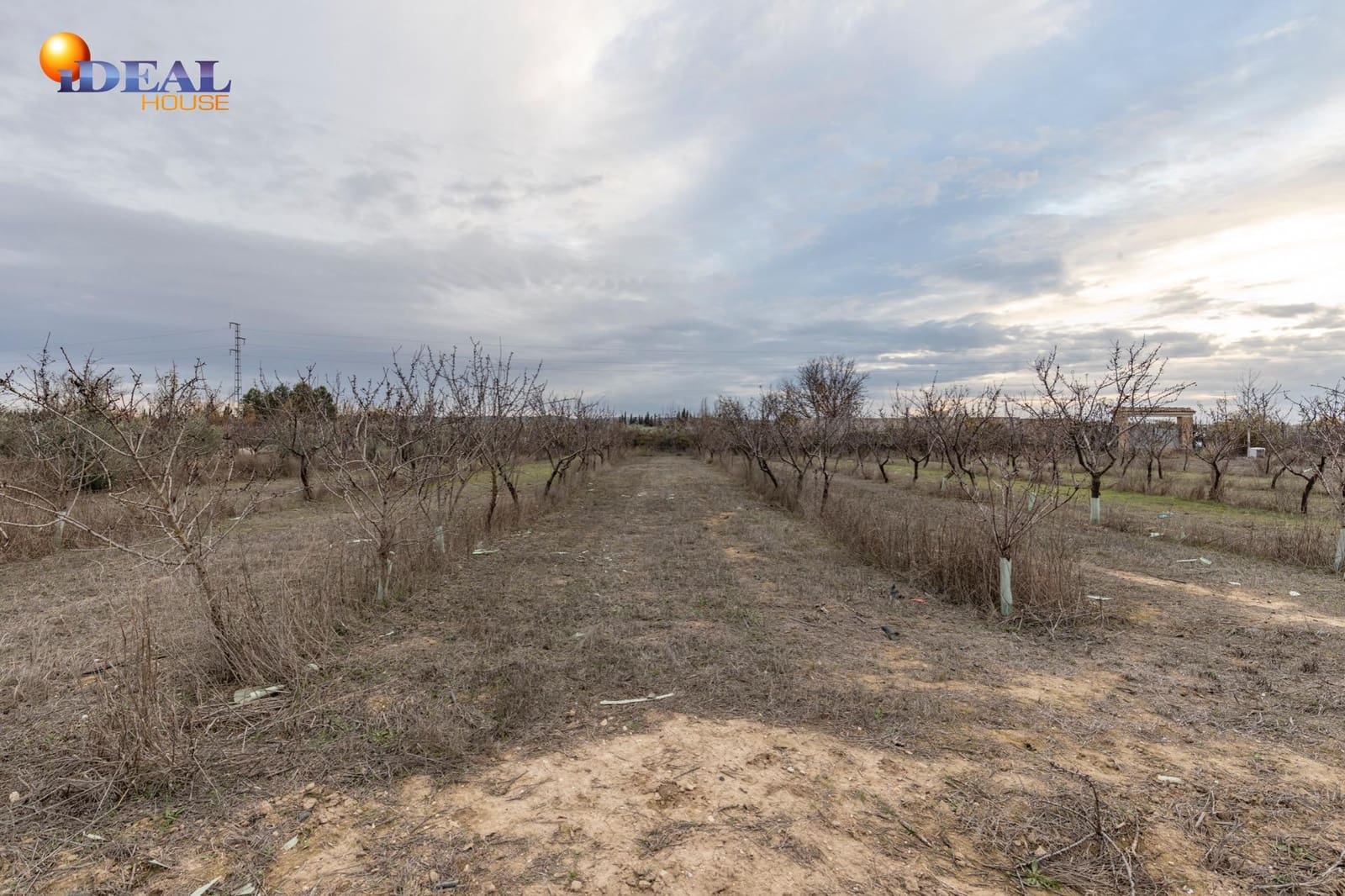 Undeveloped Land for sale in Santa Fe - € 135,000 (Ref: 9474160)