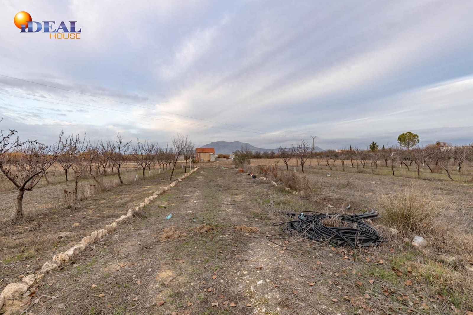 Undeveloped Land for sale in Santa Fe - € 135,000 (Ref: 9474160)
