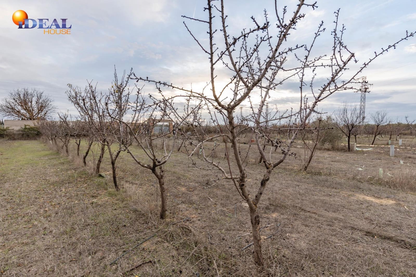 Undeveloped Land for sale in Santa Fe - € 135,000 (Ref: 9474160)