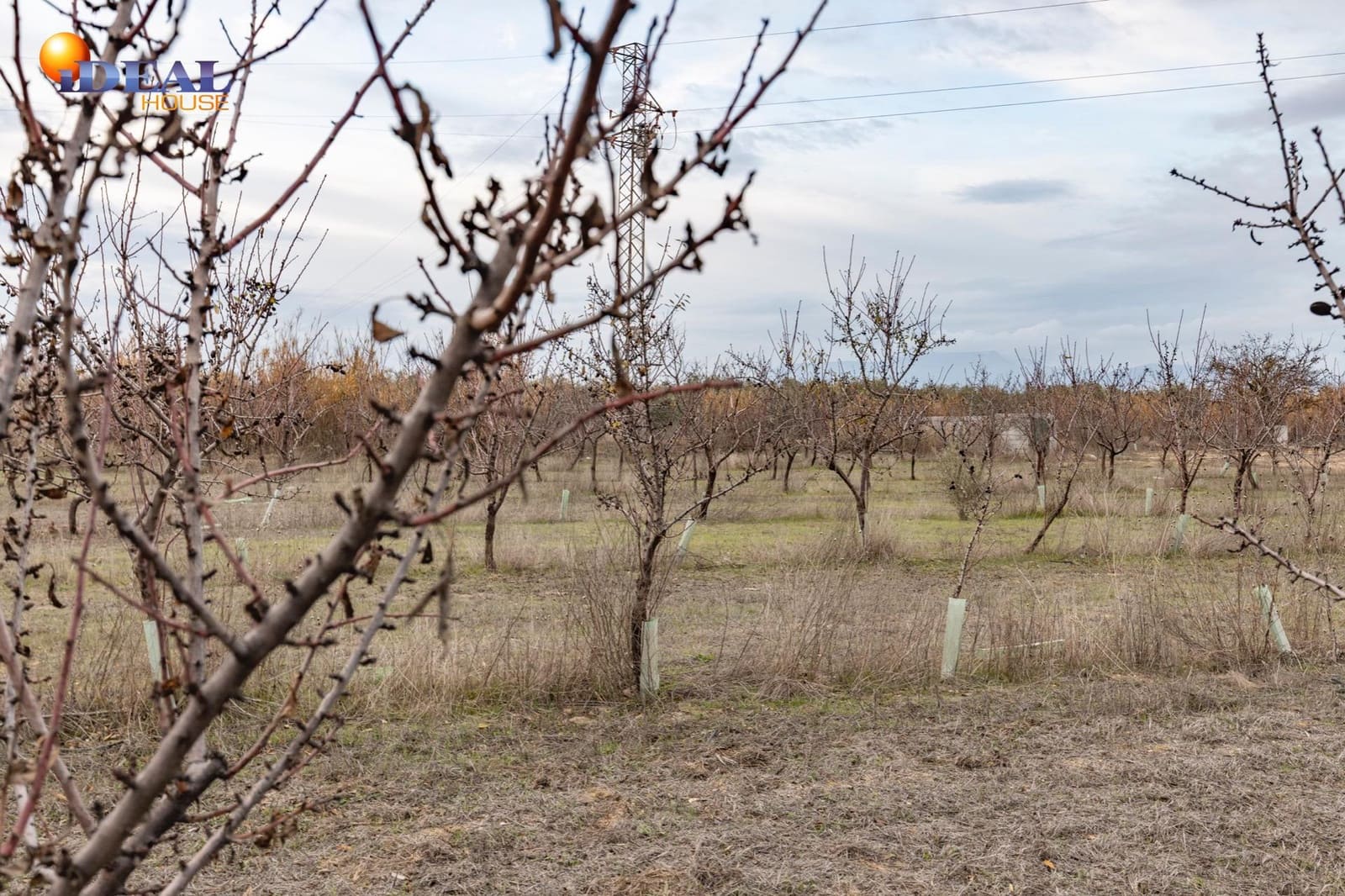 Undeveloped Land for sale in Santa Fe - € 135,000 (Ref: 9474160)