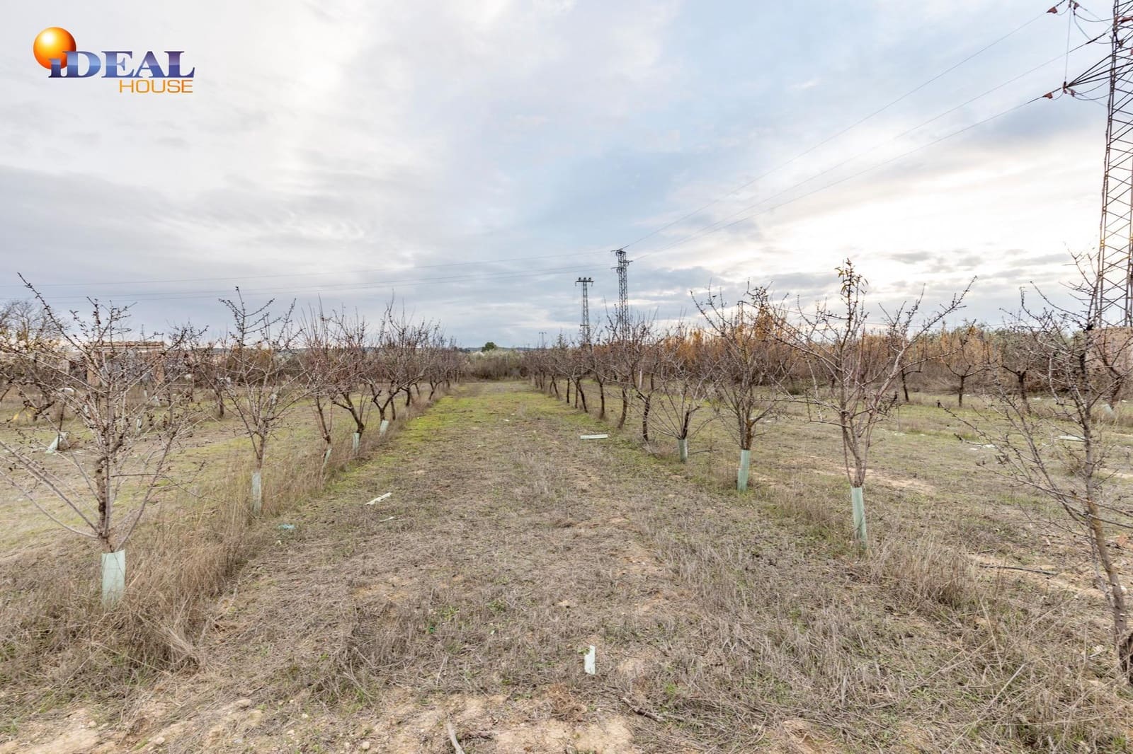 Undeveloped Land for sale in Santa Fe - € 135,000 (Ref: 9474160)