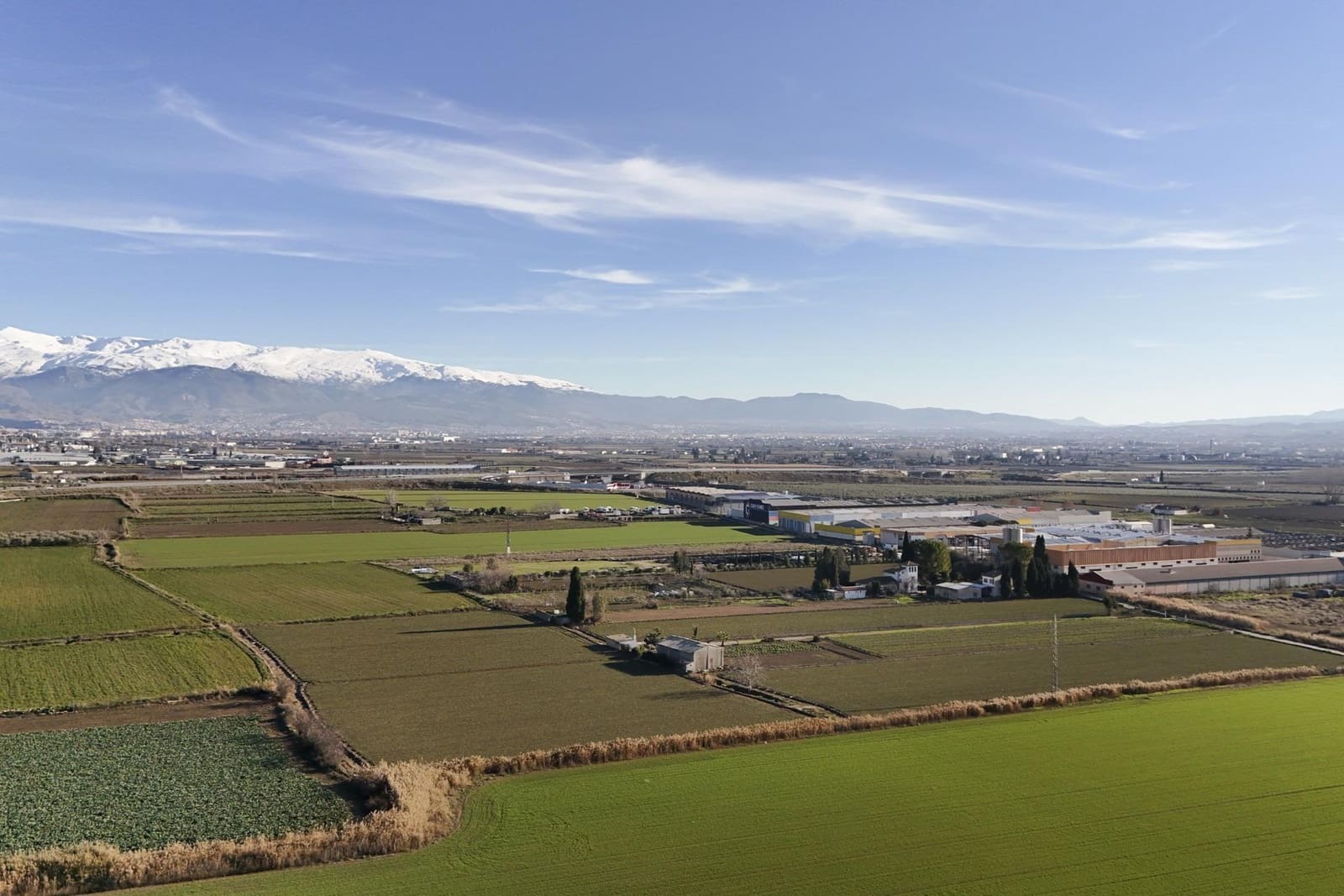 Building Plot for sale in Atarfe - € 100,000 (Ref: 9504218)