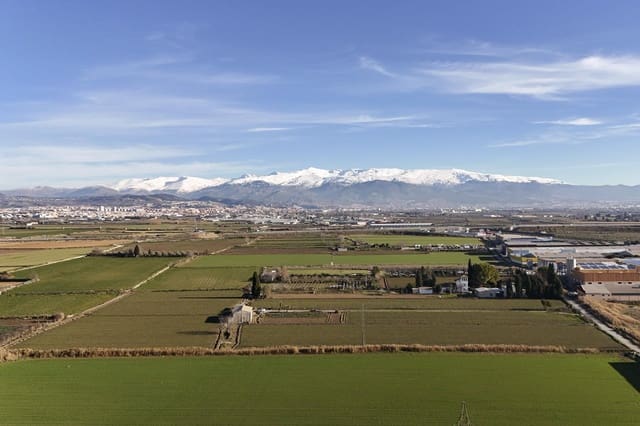 Solar/Parcela en Atarfe en venta - 100.000 € (Ref: 9504218)