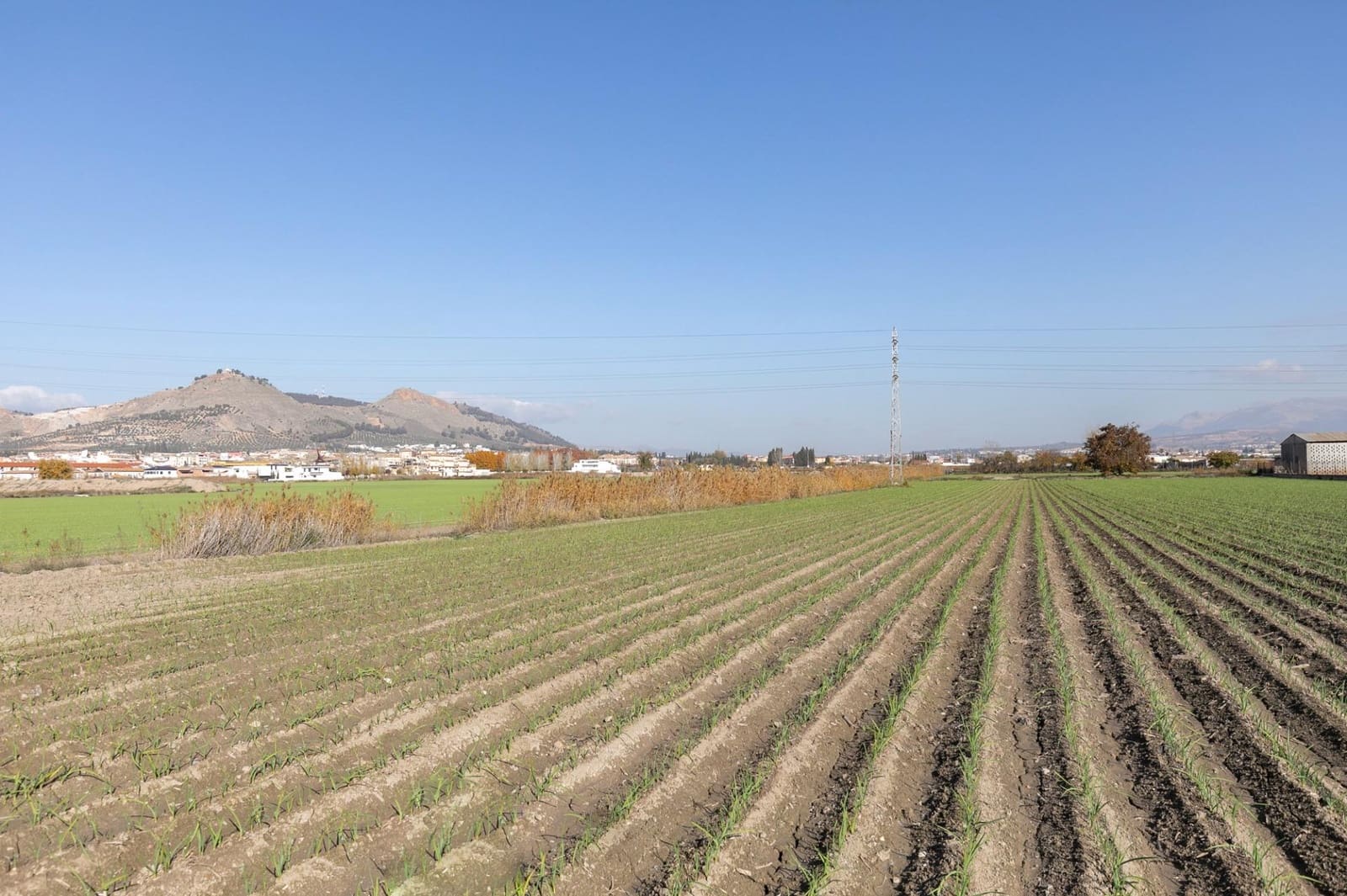 Building Plot for sale in Atarfe - € 100,000 (Ref: 9504218)