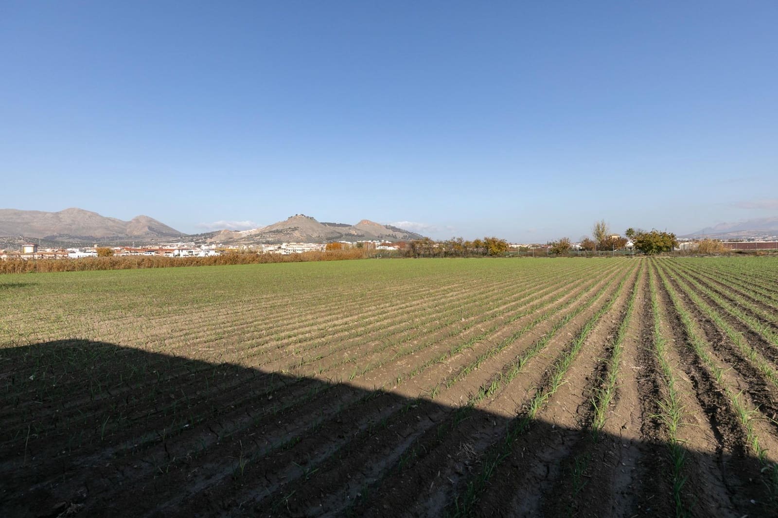 Building Plot for sale in Atarfe - € 100,000 (Ref: 9504218)