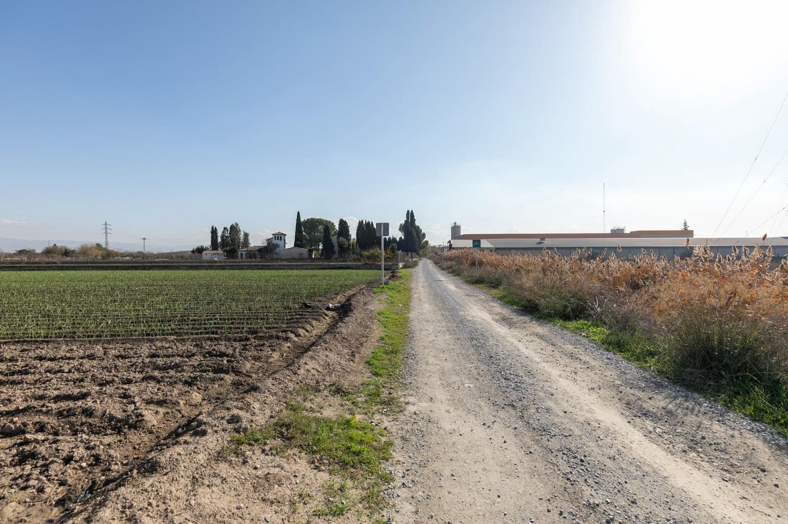 Building Plot for sale in Atarfe - € 100,000 (Ref: 9504218)