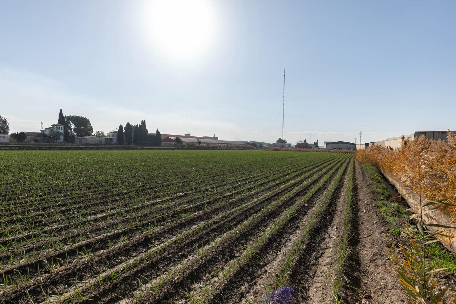 Building Plot for sale in Atarfe - € 100,000 (Ref: 9504218)