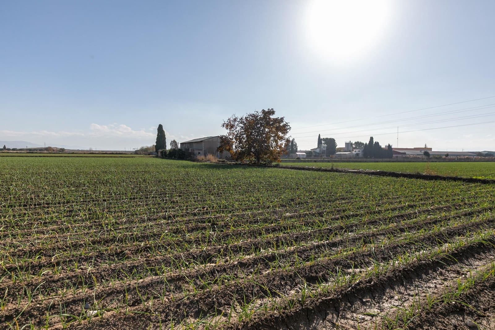 Building Plot for sale in Atarfe - € 100,000 (Ref: 9504218)