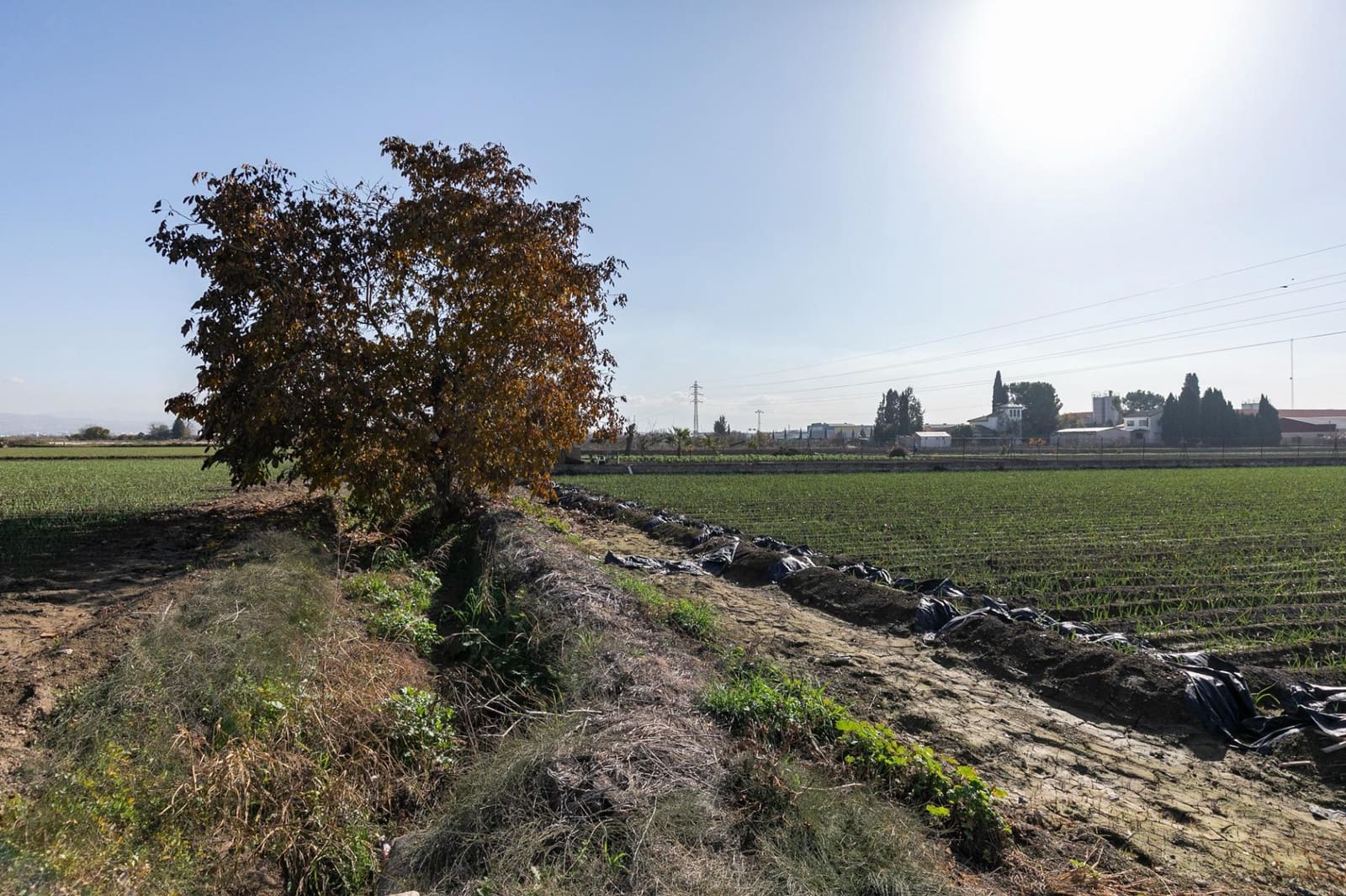 Building Plot for sale in Atarfe - € 100,000 (Ref: 9504218)