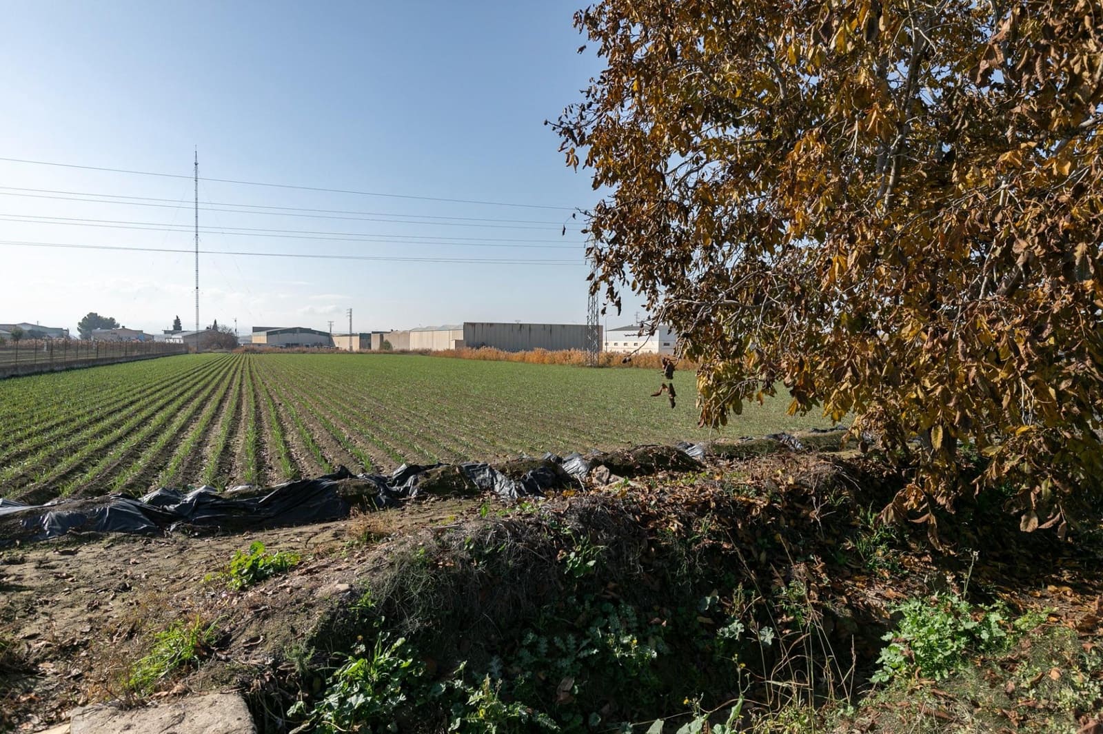 Building Plot for sale in Atarfe - € 100,000 (Ref: 9504218)