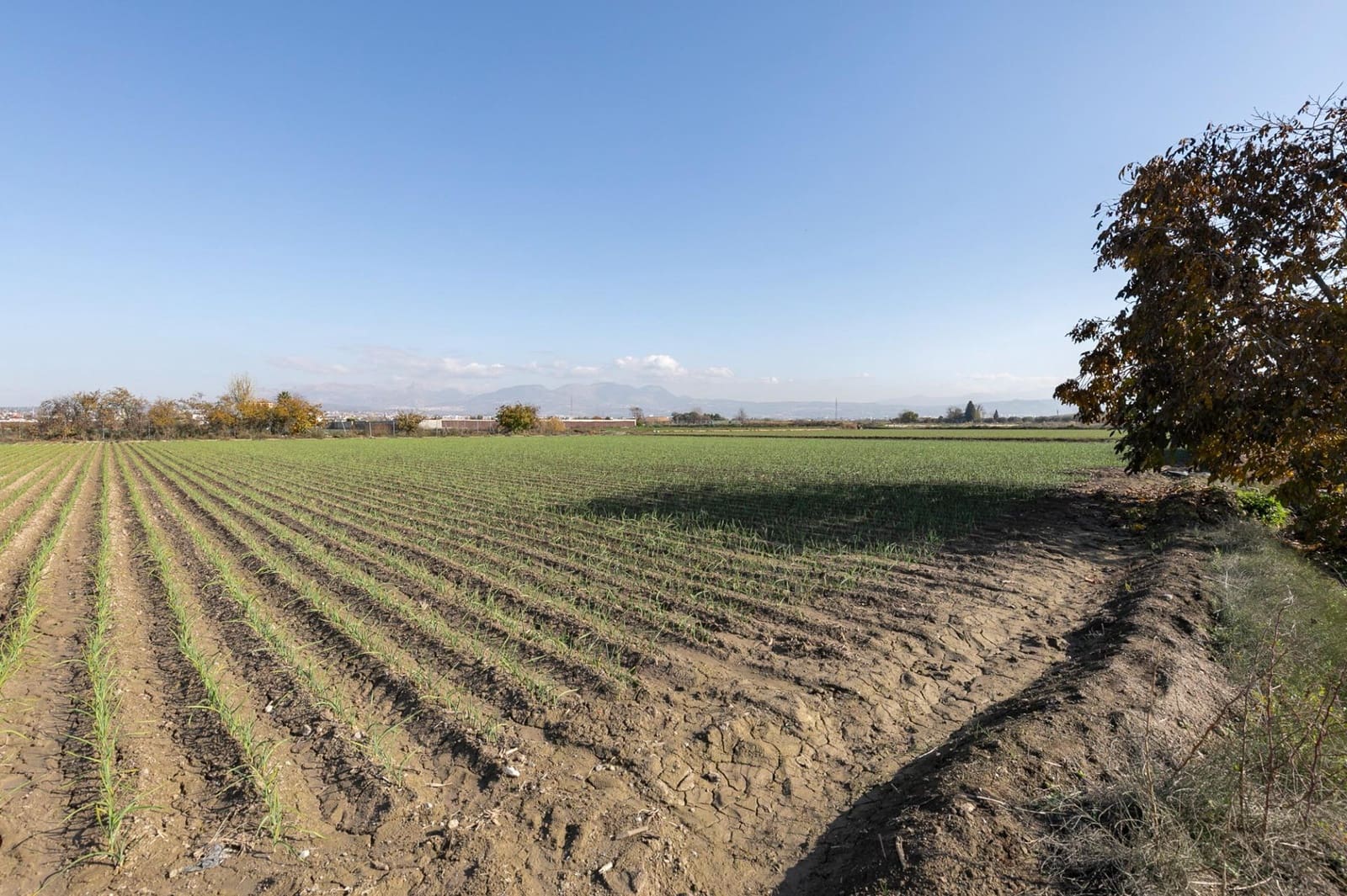 Building Plot for sale in Atarfe - € 100,000 (Ref: 9504218)