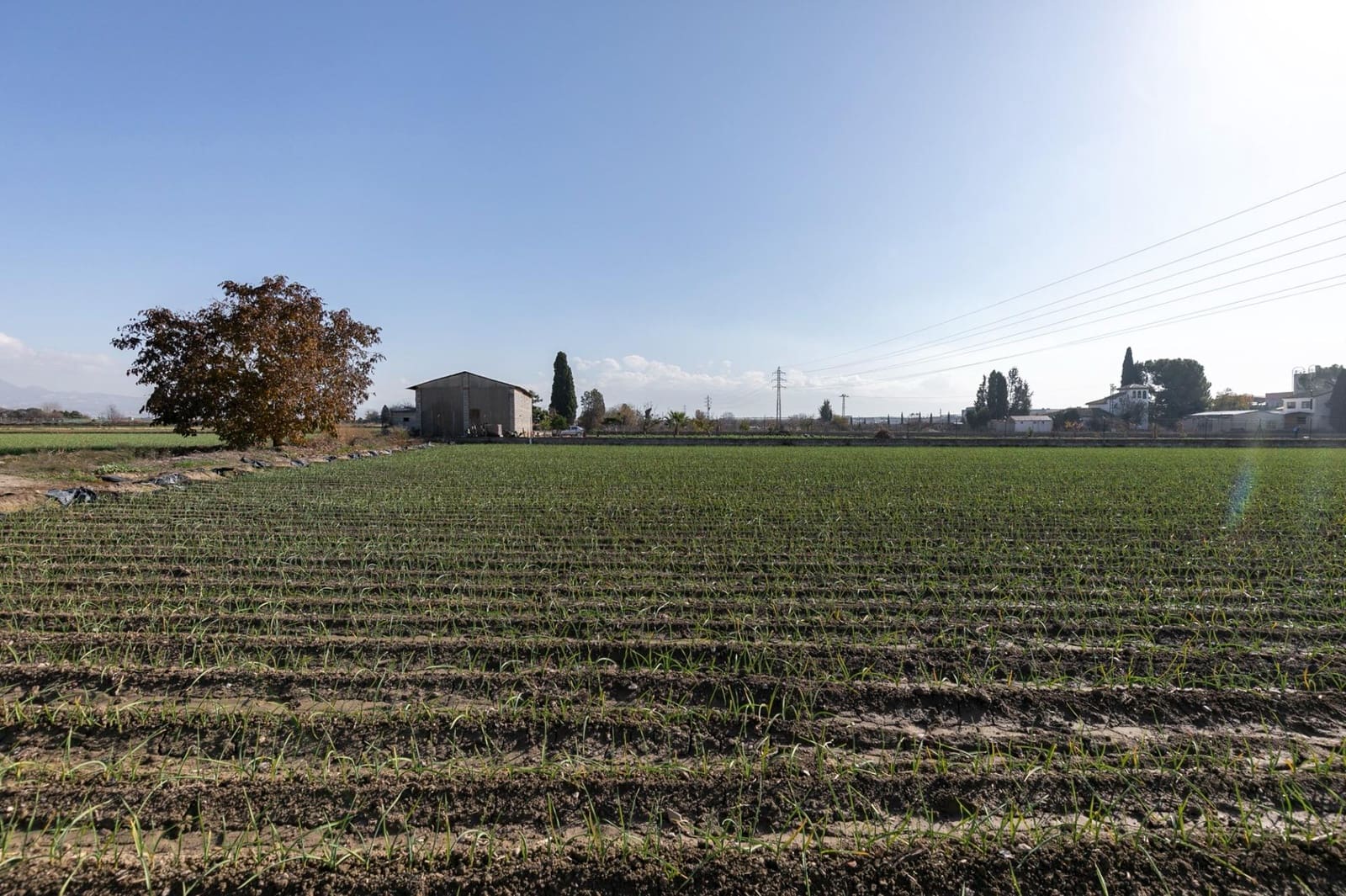 Building Plot for sale in Atarfe - € 100,000 (Ref: 9504218)