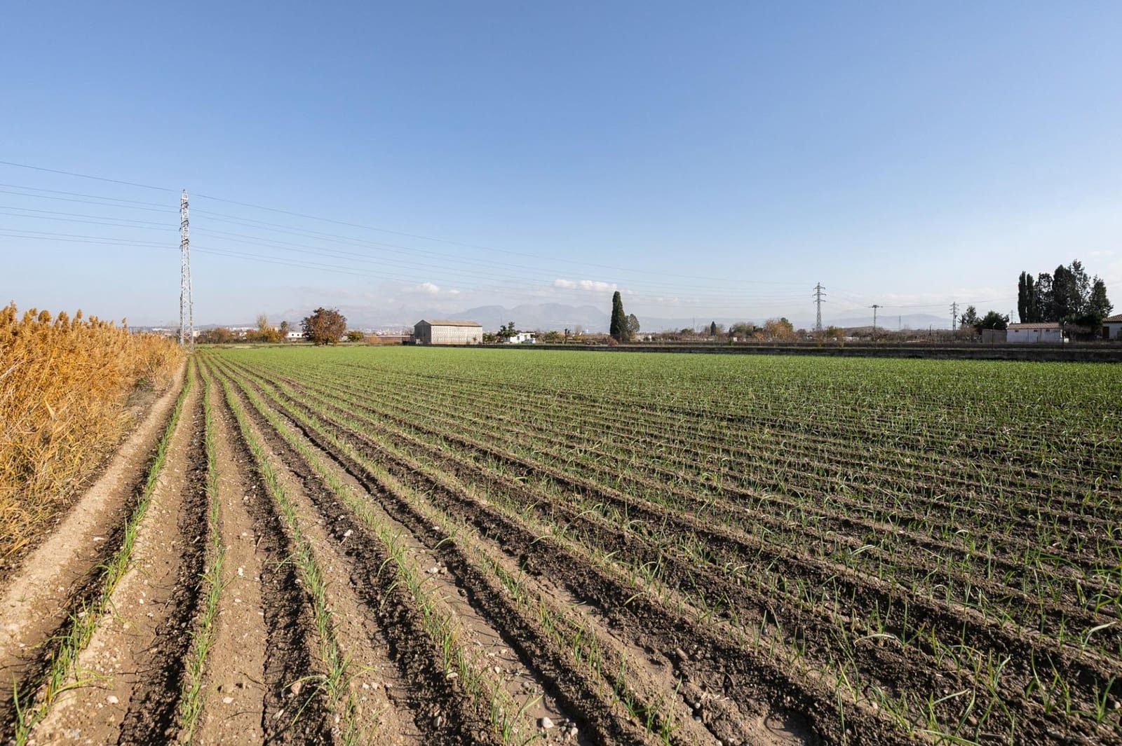 Building Plot for sale in Atarfe - € 100,000 (Ref: 9504218)