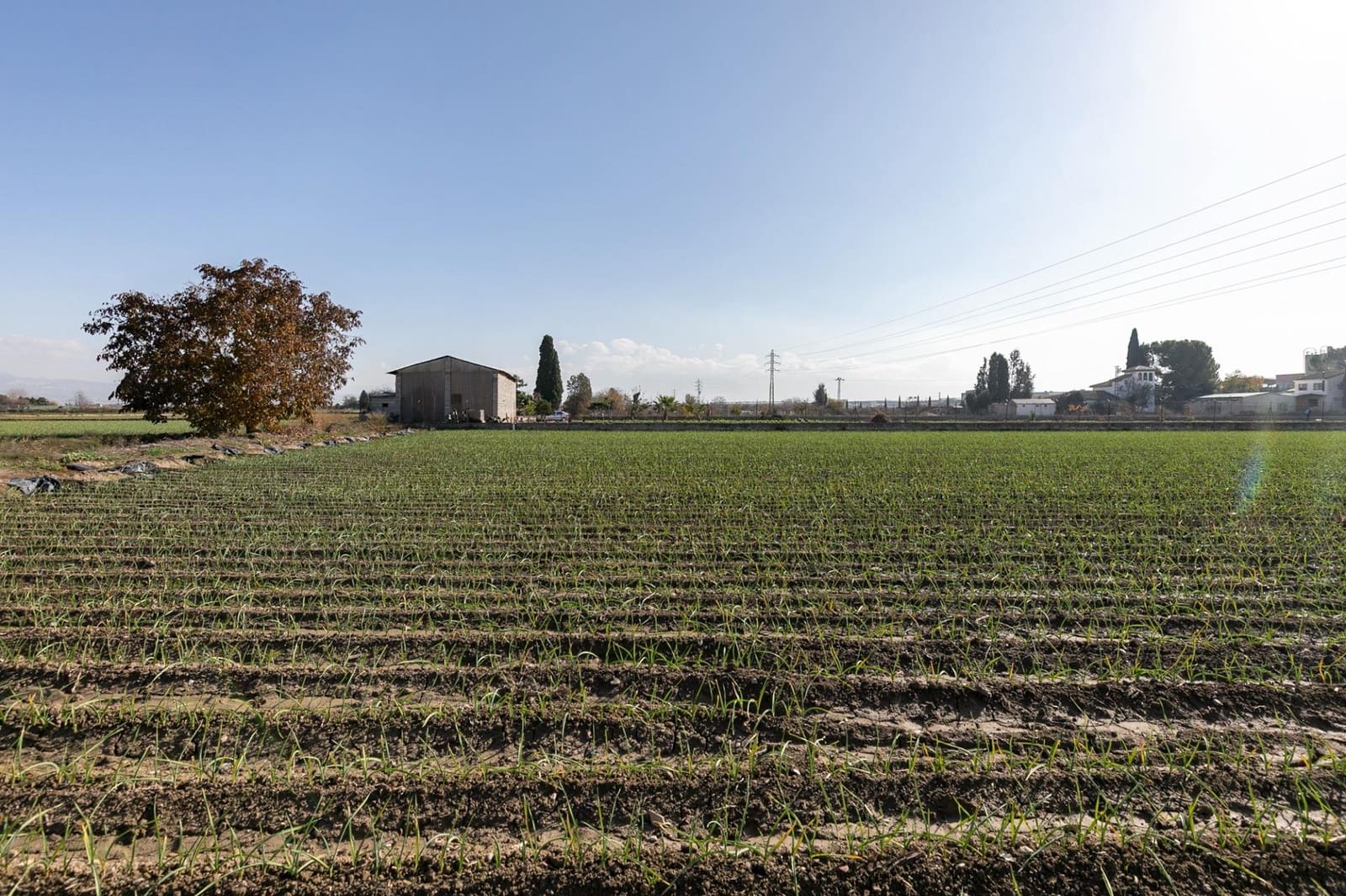 Building Plot for sale in Atarfe - € 100,000 (Ref: 9504218)