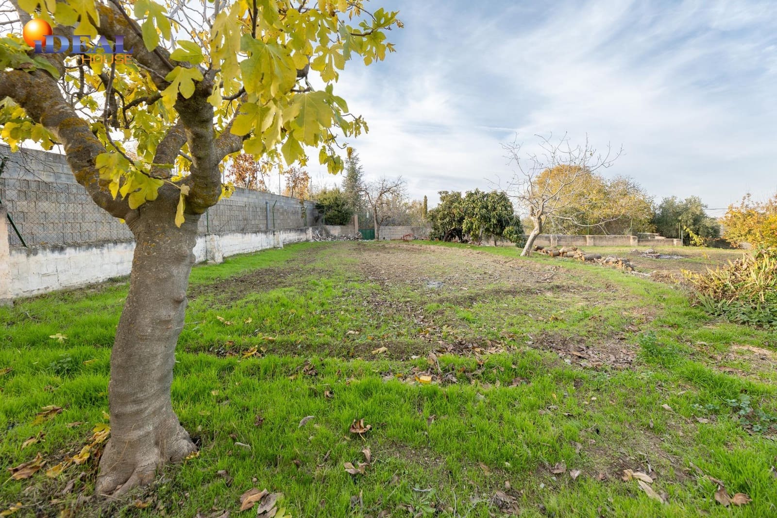 3 chambre Finca/Maison de Campagne à vendre à Otura avec piscine garage - 280 000 € (Ref: 9524238)