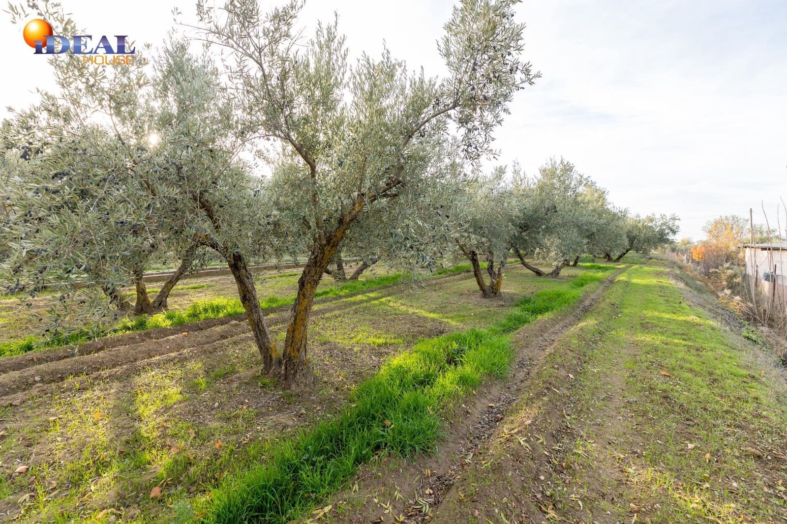3 chambre Finca/Maison de Campagne à vendre à Otura avec piscine garage - 280 000 € (Ref: 9524238)