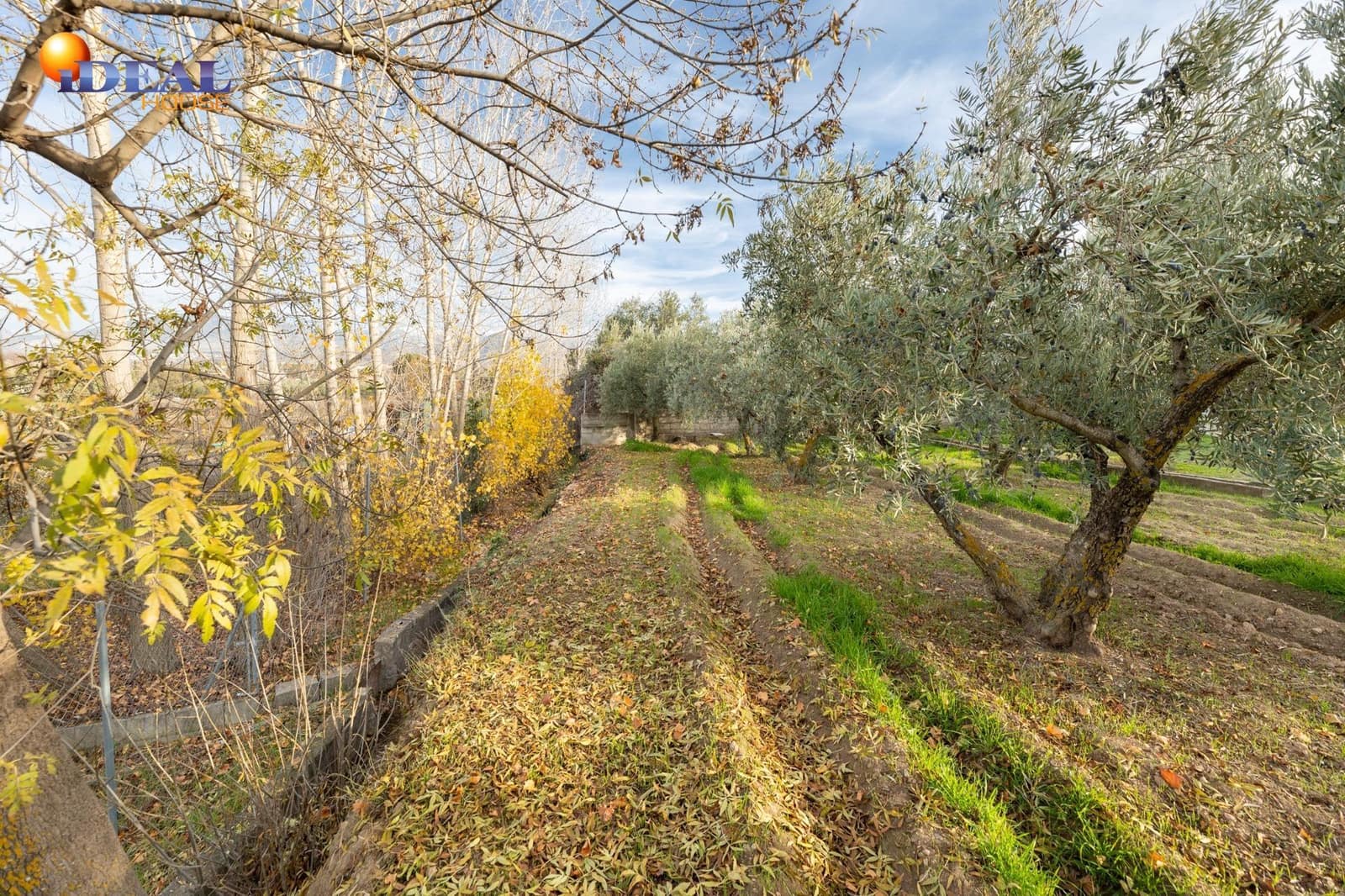 3 chambre Finca/Maison de Campagne à vendre à Otura avec piscine garage - 280 000 € (Ref: 9524238)