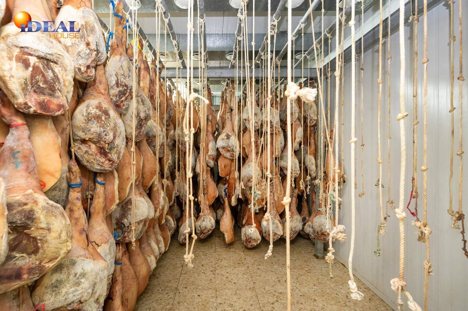 Empresa para venda em Illora - 270 000 € (Ref: 9533663)