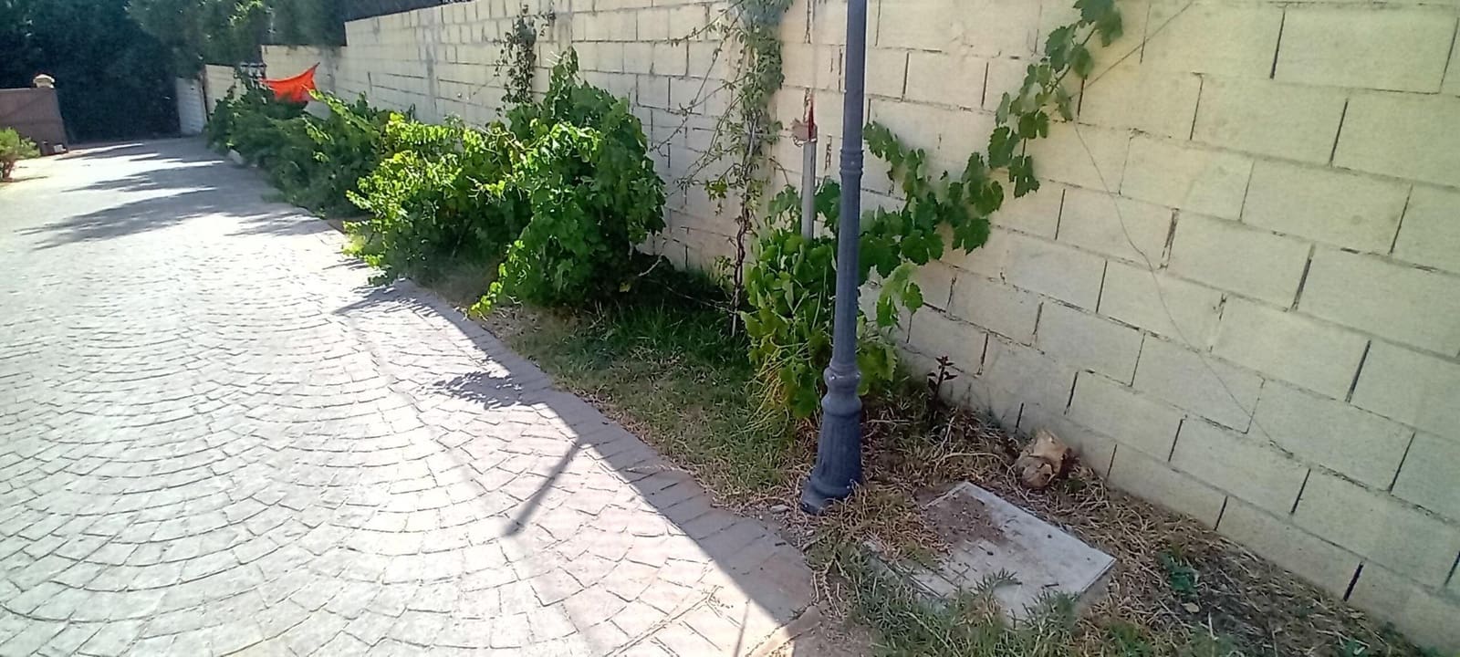 4 sypialnia Dom na sprzedaż w San Roque z basenem - 540 000 € (Ref: 10094967)