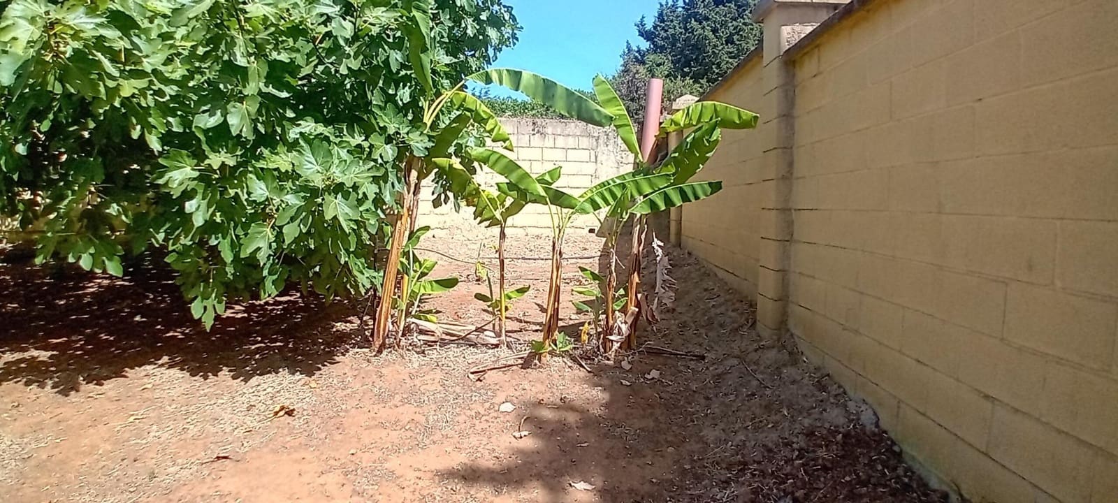 4 sypialnia Dom na sprzedaż w San Roque z basenem - 540 000 € (Ref: 10094967)