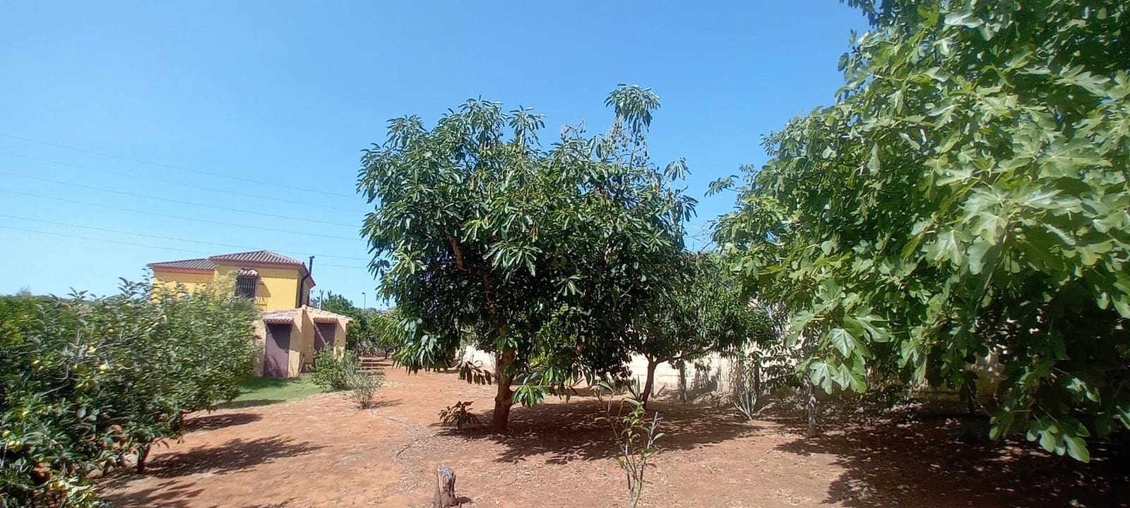 4 sypialnia Dom na sprzedaż w San Roque z basenem - 540 000 € (Ref: 10094967)