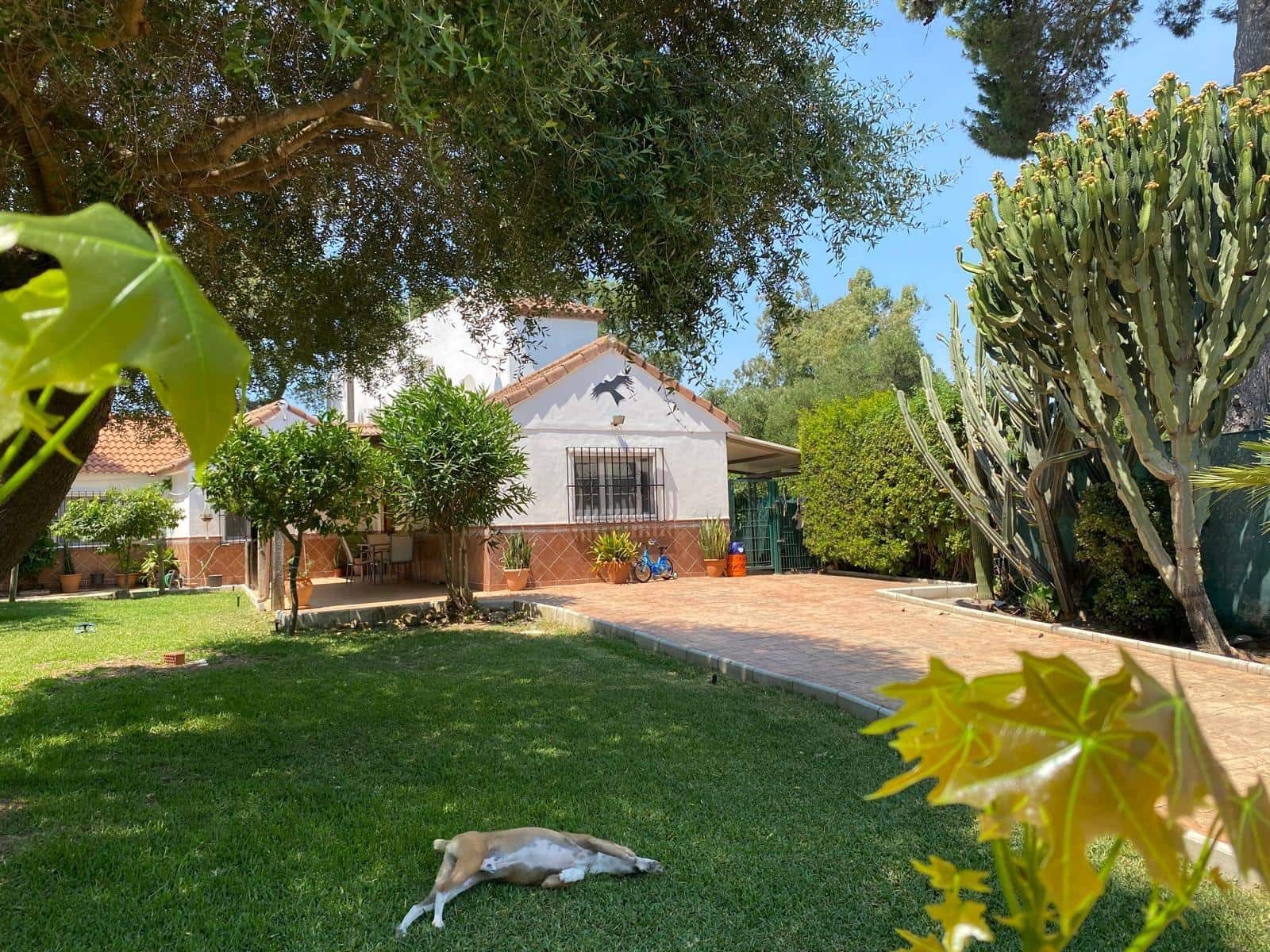 4 sypialnia Dom na sprzedaż w Los Barrios - 460 000 € (Ref: 10095376)
