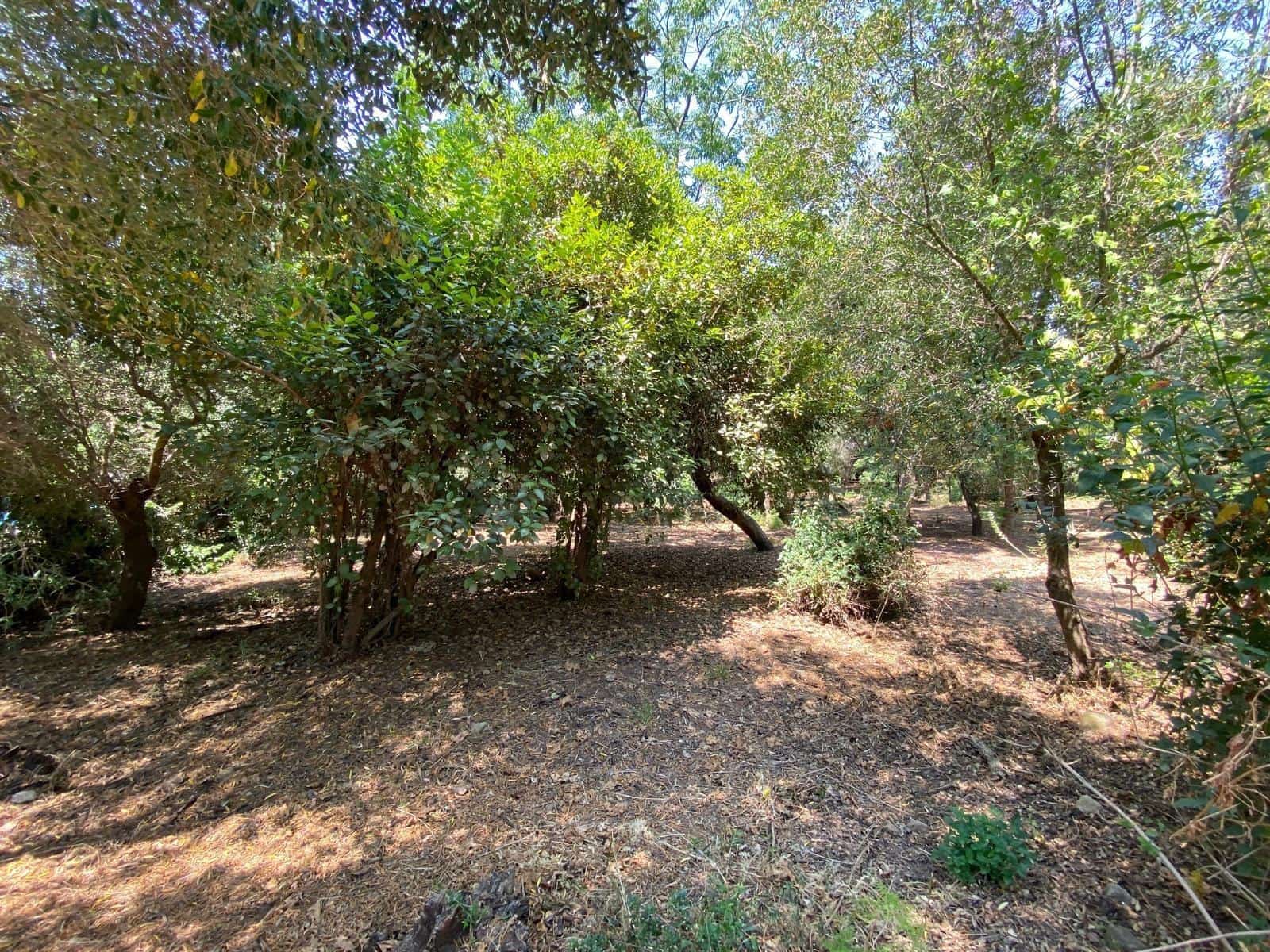 4 sypialnia Dom na sprzedaż w Los Barrios - 460 000 € (Ref: 10095376)