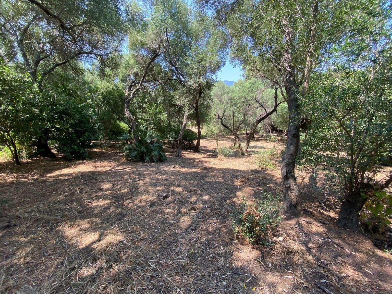 4 sypialnia Dom na sprzedaż w Los Barrios - 460 000 € (Ref: 10095376)