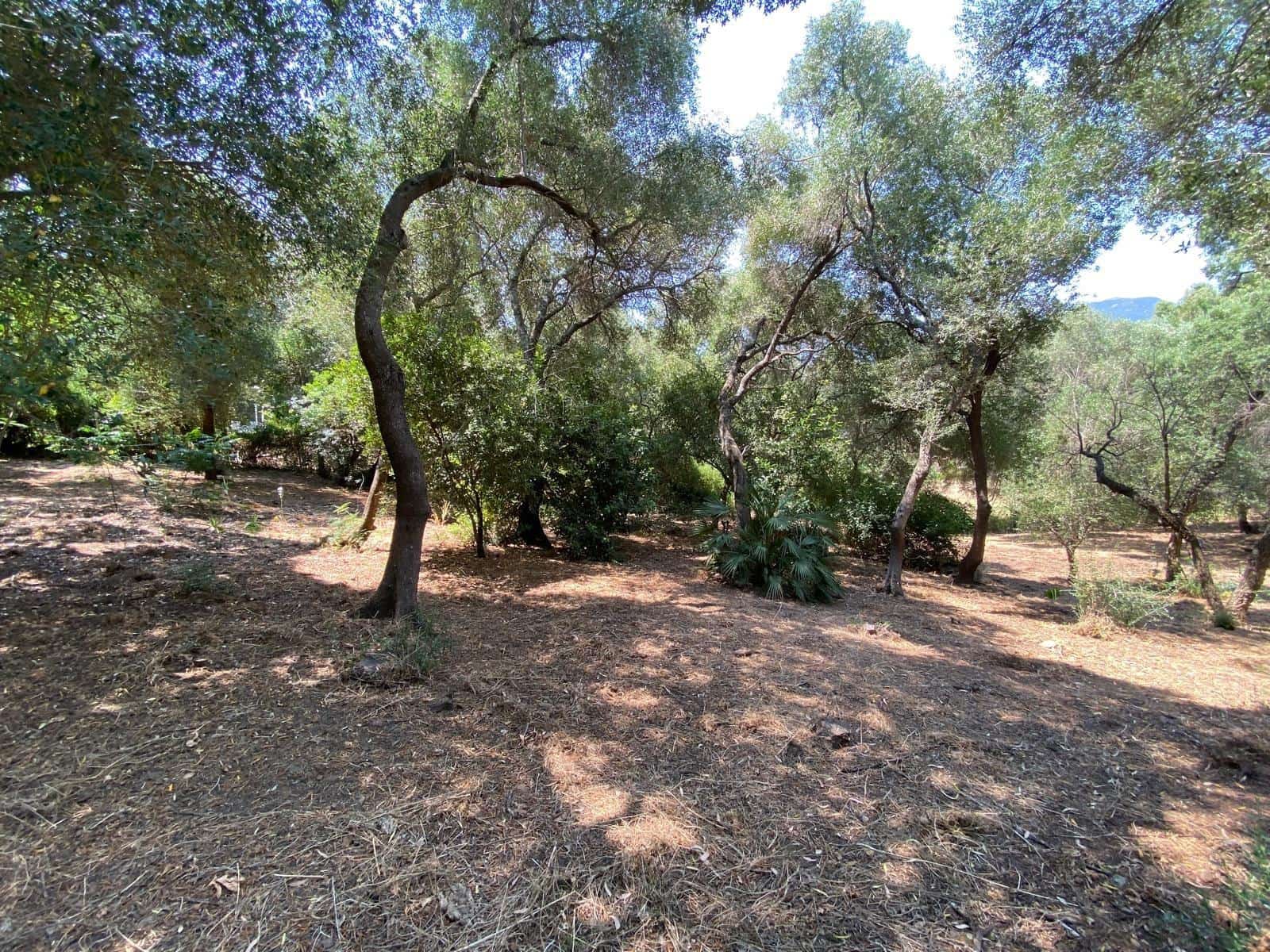 4 sypialnia Dom na sprzedaż w Los Barrios - 460 000 € (Ref: 10095376)