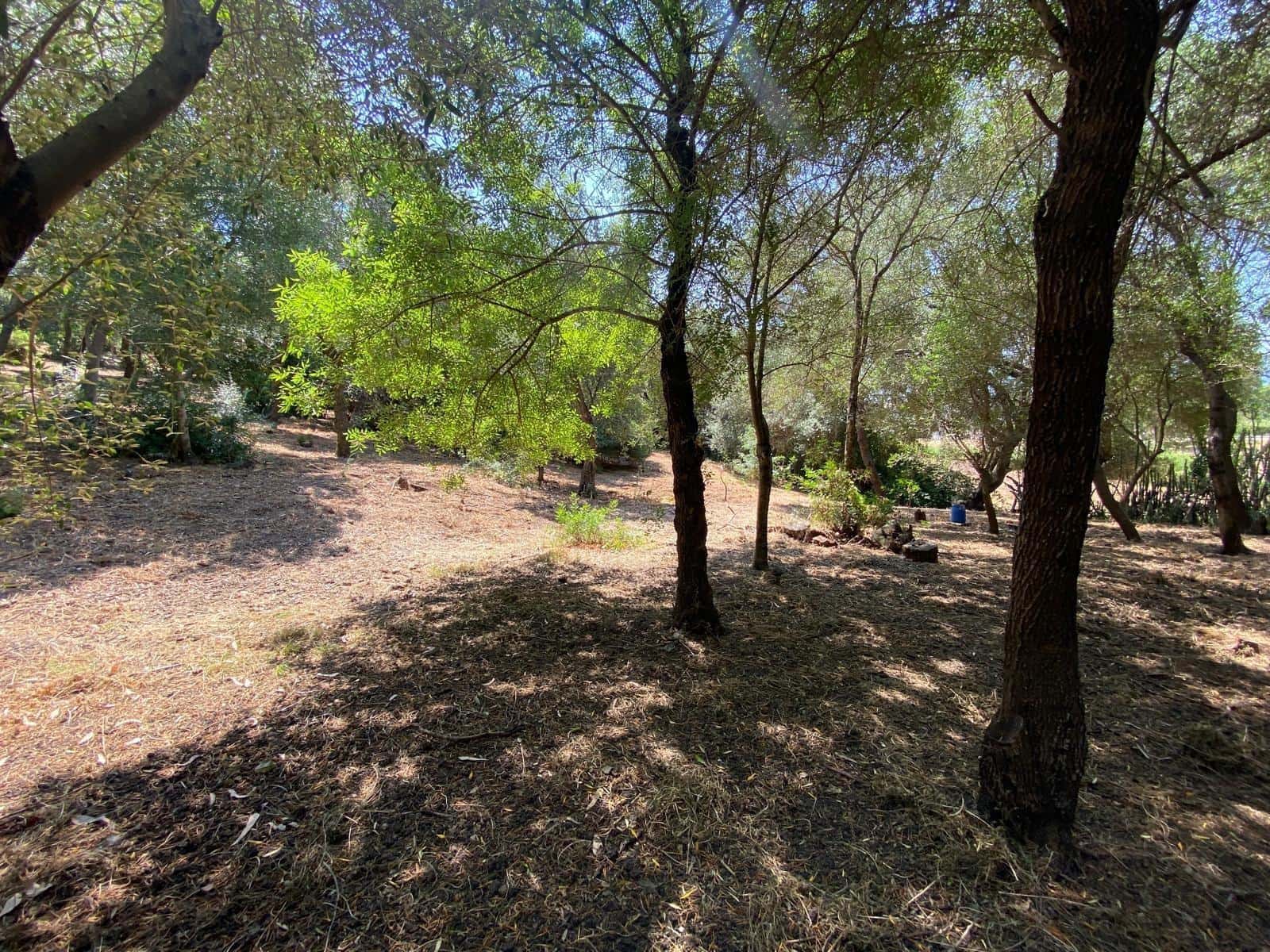 4 sypialnia Dom na sprzedaż w Los Barrios - 460 000 € (Ref: 10095376)
