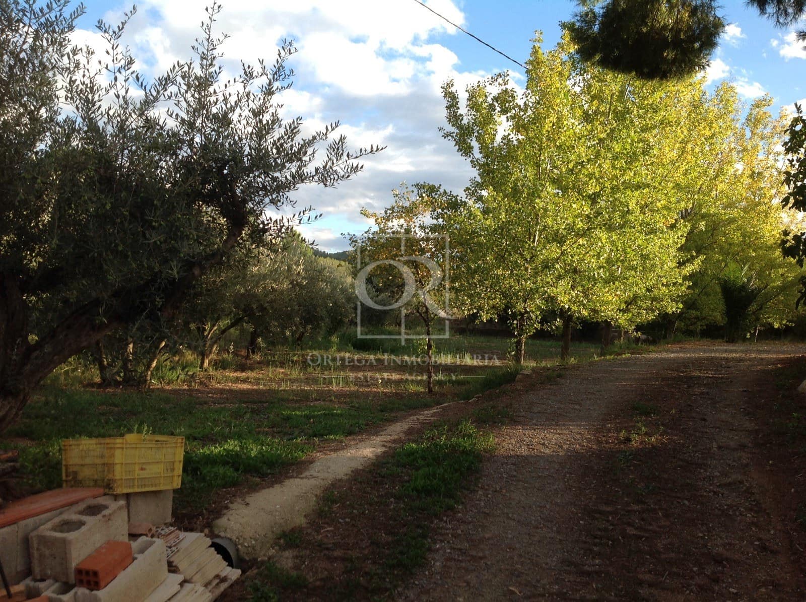 4 bedroom Finca/Country House for sale in Cehegin with pool garage - € 179,500 (Ref: 10116199)