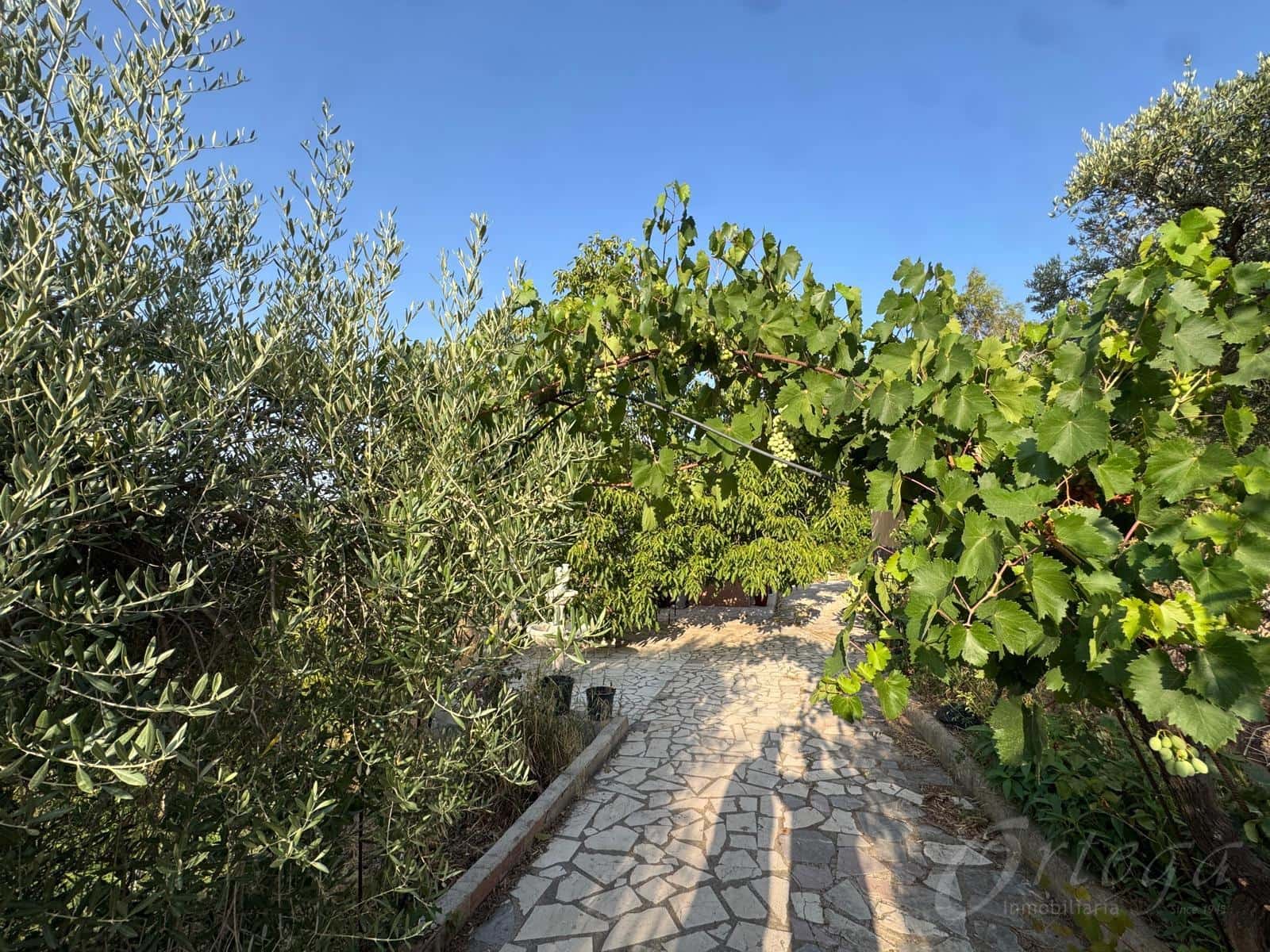 3 bedroom Finca/Country House for sale in Cehegin with pool - € 179,500 (Ref: 10116204)