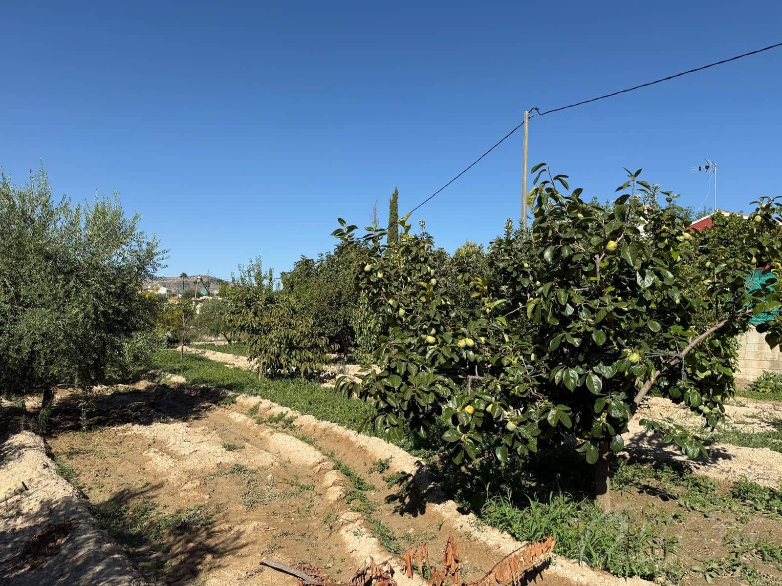 3 soveværelse Finca/Landehus til salg i Cehegin med swimmingpool garage - € 249.500 (Ref: 10116206)