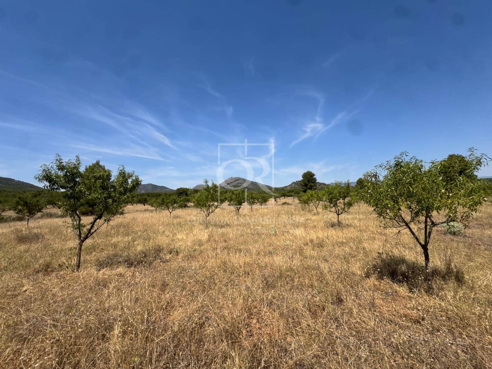 Undeveloped Land for sale in Cehegin - € 225,000 (Ref: 10120786)