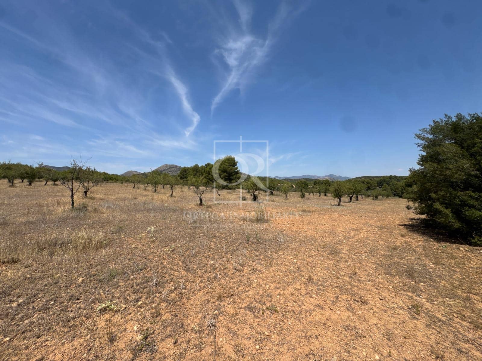 Undeveloped Land for sale in Cehegin - € 225,000 (Ref: 10120786)