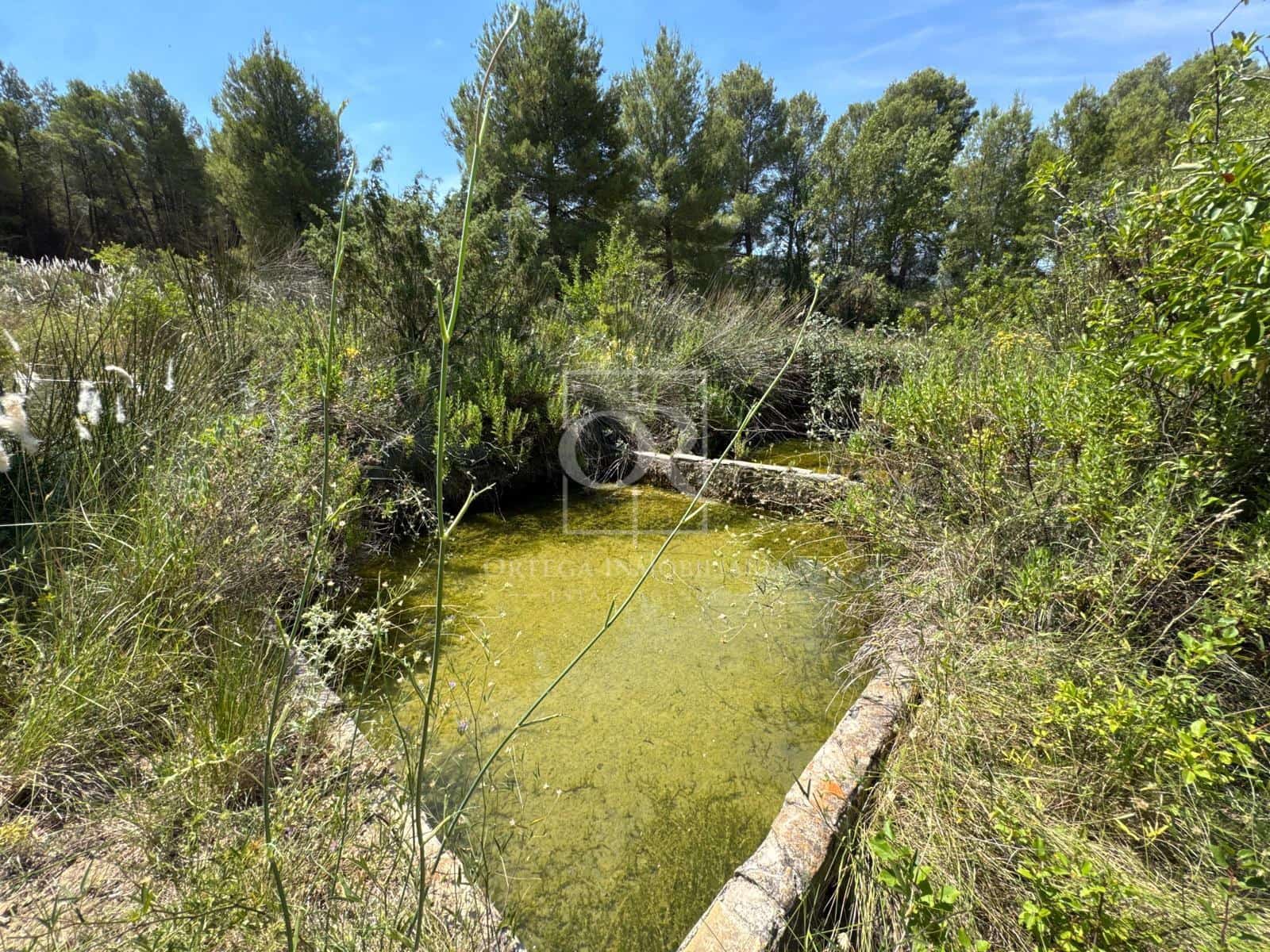 Undeveloped Land for sale in Cehegin - € 225,000 (Ref: 10120786)