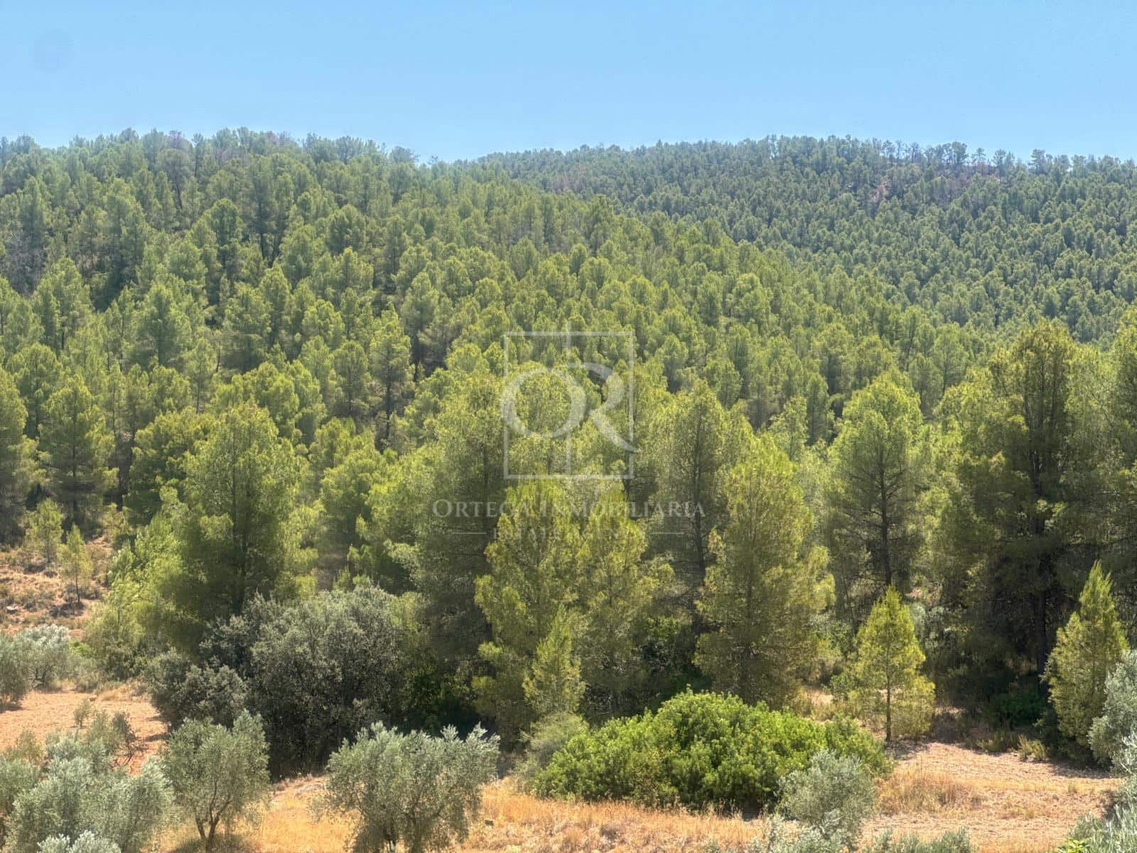 Undeveloped Land for sale in Cehegin - € 225,000 (Ref: 10120786)